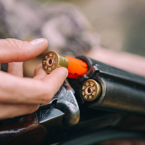 Shotgun Ammo
